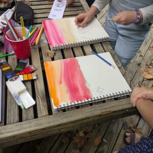 Advanced Nature Journaling