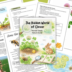 The Hidden World of Clover - A Unit Study